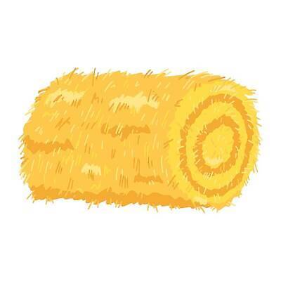 EPS 해외이미지 클립아트 디자인 백그라운드 밭 농업 일러스트 자연 건조 그래픽 농작물 농장 농경지 노란색 쌓기 수확 가을 흰색 시골 원형 황금 플랫 건초더미 볏짚 먹이 만화 밀 보따리 유기농 보리 롤 자루 뭉치 밀짚 흙더미 고립 밭일 볏집 엘리먼트 벡터 해외202309 해외일러스트 도형 웰빙 계절 산업 컬러 모션 곡류 흙 건초 짚 생태계 파일형식 더미