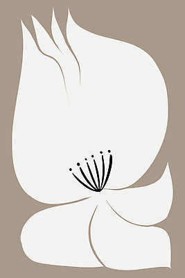 포토 JPG 해외이미지 모양 템플릿 손 디자인 배너 포스터 종이 벽 백그라운드 일러스트 벽지 추상 미술 사람없음 내부 장식 세트 디지털 방 붓 인쇄 그림 질감 심플 엽서 캔버스 기하학 고립 스칸디나비아 아크릴 스타일 미니멀 해외202309 해외일러스트 무늬 재질 문화예술 신체부위 편지 파일형식