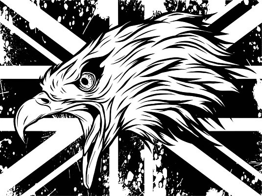 EPS 해외이미지 동물 손 디자인 실루엣 포스터 야생동물 백그라운드 일러스트 자연 조류 영국 잉글랜드 흑백 미술 그래픽 머리 검은색 수확 흰색 깃발 그리기 스케치 문신 심볼 깃털 사인 그림 복고 독수리 대머리 판화 애국심 고립 그런지 옛날 왕국 스타일 벡터 현실 해외202309 해외일러스트 헤어스타일 유럽 컬러 농업 모션 문화예술 촬영기법 신체부위 생태계 파일형식