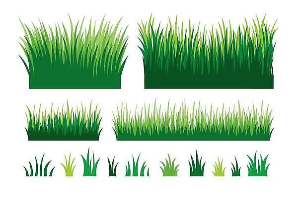 EPS 해외이미지 식물 디자인 계절 실루엣 백그라운드 잎 패턴 밭 일러스트 자연 추상 파노라마 잔디 가로 초록색 세트 약 환경 정원 봄 젖음 성장 흰색 시골 신선 칼날 만화 땅 수집 허브 그림 에코 심플 내추럴 고립 생태학 엘리먼트 전국 벡터 국경 해외202309 해외일러스트 교육 컬러 무늬 농업 의학 촬영기법 생태계 파일형식