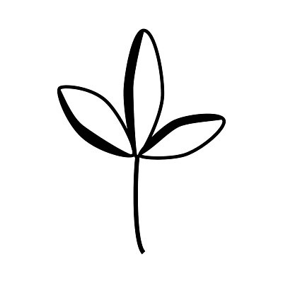 EPS 해외이미지 식물 디자인 실루엣 선 결혼 백그라운드 잎 꽃무늬 일러스트 자연 추상 미술 그래픽 장식 여름 세트 뷰티 정원 검은색 봄 낭만 수확 벚꽃 나뭇가지 화려 낙서 스케치 수집 그림 심플 손그림 내추럴 엘리먼트 스타일 벡터 해외202309 해외일러스트 나무 계절 꽃 컬러 컨셉 무늬 농업 문화예술 촬영기법 이벤트 생태계 파일형식