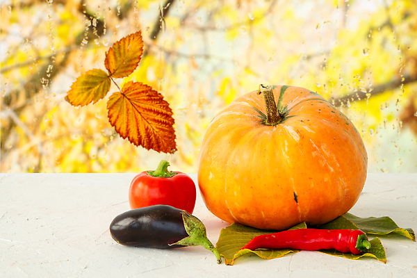 포토 JPG 해외이미지 식물 계절 꽃 음식 컬러 백그라운드 농업 채소 오렌지 자연 호박 휴가 파프리카 건강 사람없음 장식 노란색 정원 할로윈 수확 종 흰색 신선 유기농 날것 박 후추 추수감사절 스쿼시 10월 내추럴 숙성 채식주의자 맛있는 해외202309 해외포토 웰빙 산업 기독교 스포츠 과일 구기 날짜 향신료 생태계 채식 파일형식
