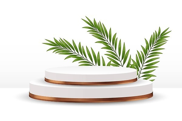 EPS 해외이미지 템플릿 디자인 백그라운드 잎 일러스트 추상 바닥 프레임 손바닥 서기 그래픽 빛 유행 3D 세일 우주 화장품 공백 무대 흰색 발표 황금 고급 상품 전시회 받침대 진열장 쇼 장면 청동 기하학 단상 실린더 지휘대 목업 제의 미니멀 비어있는 해외202309 해외일러스트 식물 손 컬러 컨셉 무늬 모션 뷰티 전시 디지털합성 파일형식 벡터