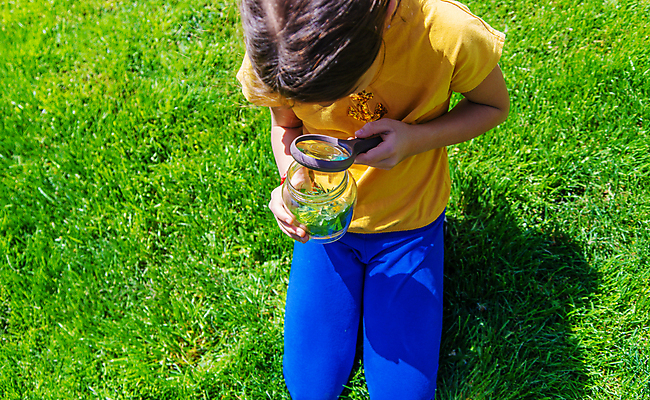 포토 JPG 해외이미지 여자 어린이 자연 돋보기 유리병 한명 상반신 야외 관찰 소녀한명만 해외포토 1 모션 병_용기 사람 생태계 여자한명만 소녀만 파일형식