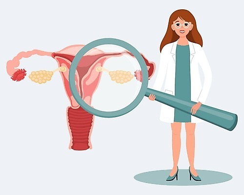 EPS 해외이미지 여자 일러스트 돋보기 한명 들기 성인 의사 잡기 확대 자궁 난소 여성질환 종양 성인여자한명만 해외202309 해외일러스트 1 모션 사람 의료진 장기_의학 질병 여자한명만 성인여자만 파일형식 벡터