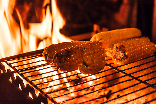 포토 JPG 해외이미지 컨셉 토마토 채소 불 불꽃 주택 육류 옥수수 스테이크 요리 사람없음 가로 컬러풀 소풍 파티 캠핑 신선 뜨거움 모서리 닫기 떨어짐 그릴 낟알 바비큐 굽기 준비 로즈메리 건강식 파열 연소 구성 채식주의자 화상 해외202309 해외포토 자연요소 음식 컬러 식재료 모션 주방용품 레저 곡류 서양음식 이벤트 건물 야외활동 상처 구이 허브 채식 파일형식