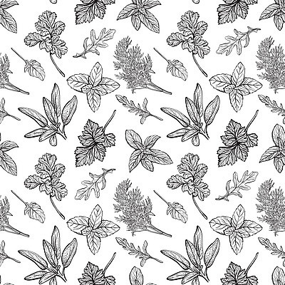 EPS 해외이미지 식물 템플릿 줄기 백그라운드 잎 패턴 밭 채소 일러스트 자연 파슬리 초록색 주방 봄 이탈리아 샐러드 나뭇가지 양념 조미료 맛 약초 낙서 스케치 지중해 민트 허브 향신료 유기농 질감 손그림 바질 로즈메리 딜 루꼴라 백리향 색칠공부 오레가노 포장소품 프로방스 벡터 해외202309 해외일러스트 나무 웰빙 계절 유럽 음식 바다 컬러 컨셉 무늬 농업 포장 미술 학습 색칠 풀_식물 오브젝트 생태계 포장재료 향미료 파일형식