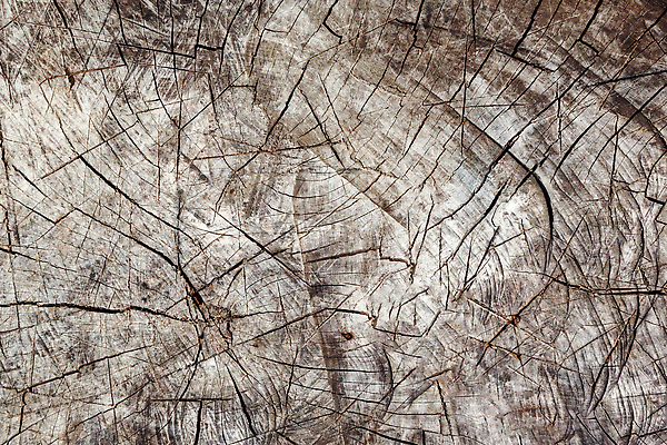 포토 JPG 해외이미지 나무 조각 백그라운드 패턴 부분 벽지 표면 추상 건조 사람없음 목재 한개 갈색 수확 시골 죽음 반지 원형 거친 역사 균열 정상 큼 자르기 묘사 부식 질감 통나무 도끼 내추럴 수목 옛날 개조 해외202309 해외포토 도형 식물 1 컬러 무늬 농업 재료 장신구 모션 크기 파일형식