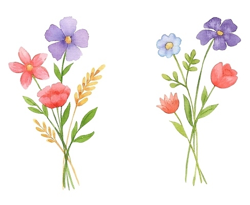 JPG 해외이미지 꽃다발 일러스트 미술 사람없음 세트 손그림 해외202309 해외일러스트 꽃 문화예술 파일형식