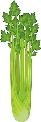 EPS 해외이미지 클립아트 식물 디자인 음식 줄기 컬러 백그라운드 잎 농업 다이어트 채소 일러스트 재료 자연 건강 요리 그래픽 초록색 정원 샐러드 수확 흰색 신선 막대기 플랫 맛 만화 다발 먹기 향신료 오브젝트 유기농 날것 비타민 내추럴 고립 엘리먼트 채식주의자 벡터 세련 비건 맛있는 해외202309 해외일러스트 웰빙 산업 컨셉 모션 생태계 채식 영양소 향미료 파일형식