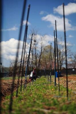 포토 JPG 해외이미지 나무 식물 밭 자연 하늘 아침 사람없음 목재 물 햇빛 반사 저녁 그네 해외202309 해외포토 주간 자연요소 농업 재료 태양 야간 생태계 파일형식