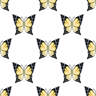 JPG 해외이미지 나비 패턴 일러스트 사람없음 노란색 손그림 해외202309 해외일러스트 컬러 곤충 무늬 파일형식