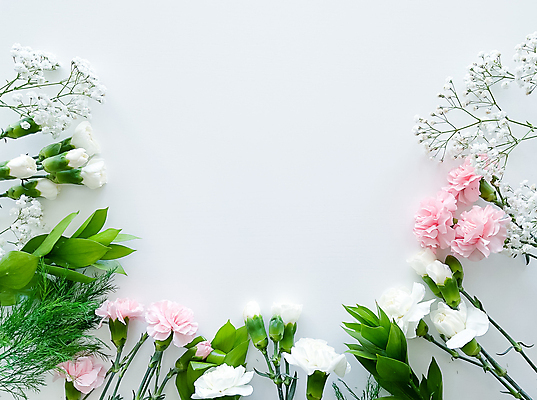 포토 JPG 해외이미지 꽃 잎 사람없음 봄 테두리 흰배경 카피스페이스 해외202309 해외포토 식물 계절 백그라운드 공백 흰색 파일형식