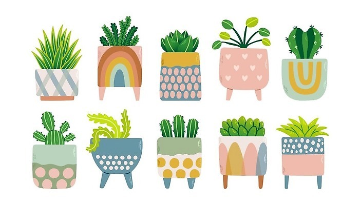 EPS 해외이미지 화분 무지개 잎 일러스트 선인장 사람없음 하트 엘리먼트 해외202309 해외일러스트 자연요소 모양 식물 파일형식 벡터