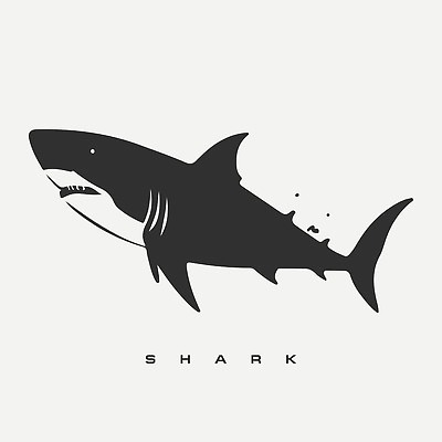 EPS 해외이미지 야생동물 선 일러스트 사람없음 검은색 심볼 심플 상어 해외202309 해외일러스트 동물 컬러 어류 파일형식 벡터