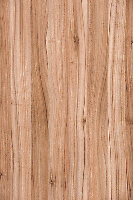 포토 JPG 해외이미지 건축물 백그라운드 패턴 자연 바닥 실내 사람없음 목재 인테리어 갈색 공백 판넬 널 매끈함 질감 심플 결 구식 카피스페이스 나무배경 해외202309 해외포토 나무 디자인 건축 컬러 무늬 재료 내부 감각 생태계 파일형식