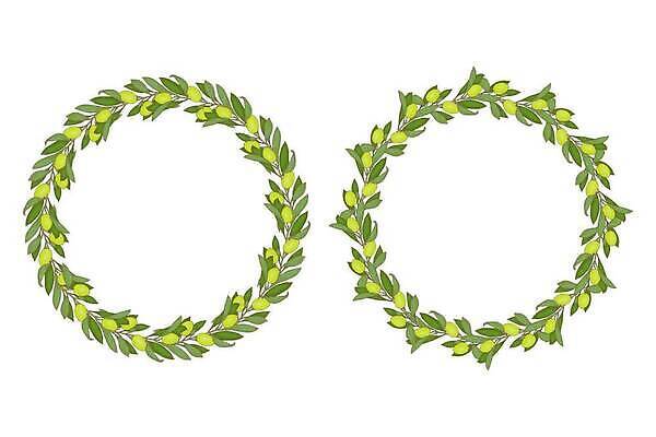 EPS 해외이미지 식물 손 디자인 백그라운드 잎 꽃무늬 일러스트 자연 추상 프레임 미술 그래픽 장식 초록색 화환 수확 소용돌이 나뭇가지 원형 신용카드 화려 우아함 낙서 스케치 그림 올리브 복고 내추럴 고립 엘리먼트 벡터 국경 해외202309 해외일러스트 도형 나무 열매 꽃 컬러 컨셉 무늬 농업 문화예술 신체부위 금융 회오리 생태계 파일형식