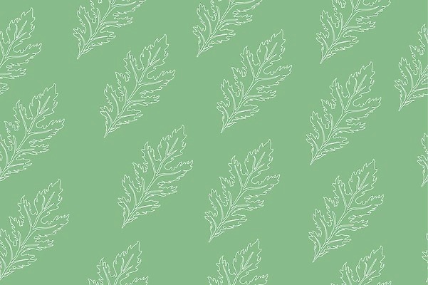 EPS 해외이미지 식물 음식 잎 패턴 농업 다이어트 채소 일러스트 재료 자연 아파트 건강 요리 동양인 초록색 상점 식당 정원 일본 샐러드 수확 흰색 신선 시장 만화 먹기 머스터드 허브 메뉴 유기농 날것 비타민 내추럴 고립 식용 엘리먼트 벡터 그리너리 비건 해외202309 해외일러스트 웰빙 산업 아시아 컬러 무늬 모션 주택 인종 소스_음식 생태계 영양소 채식주의자 파일형식 트랜드컬러