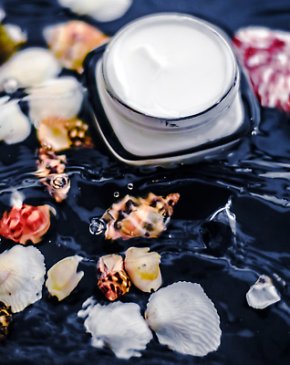 포토 JPG 해외이미지 물결 조개 근접촬영 사람없음 물 물방울 고급 피부관리 스킨케어 기초화장품 수분크림 해외202309 해외포토 자연요소 뷰포인트 컨셉 어패류 뷰티 화장품 파일형식