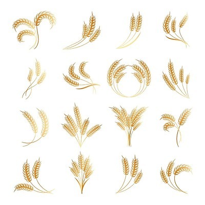 EPS 해외이미지 식물 디자인 음식 빵 줄기 백그라운드 잎 농업 라인일러스트 일러스트 옥수수 미술 씨앗 그래픽 농작물 세트 농장 수확 인쇄 낟알 시리얼 밀 다발 수집 심볼 그림 유기농 보리 귀 밀가루 스파이크 밀짚 내추럴 고립 밭일 엘리먼트 호밀 벡터 비건 귀리 해외202309 해외일러스트 웰빙 산업 문화예술 곡류 신체부위 짚 가루 채식주의자 파일형식