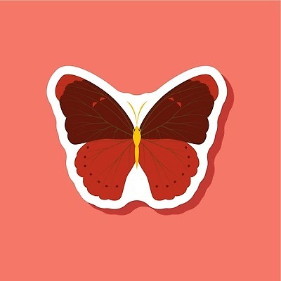 EPS 해외이미지 동물 꽃 종이 조각 나비 곤충 스티커 꽃무늬 날개 일러스트 자연 추상 장식 여름 세트 컬러풀 뷰티 봄 벚꽃 수집 그림 내추럴 스타일 많음 해외202309 해외일러스트 식물 계절 컬러 컨셉 무늬 생태계 파일형식 벡터