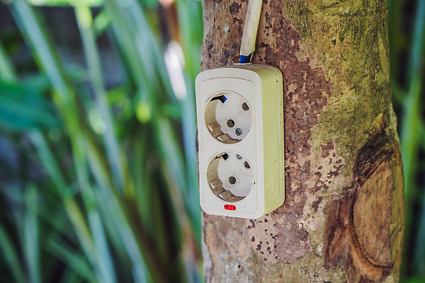 포토 JPG 해외이미지 나무 라이프스타일 지구 조각 컨셉 인터넷 비즈니스 사업가 추상 휴가 미래 휴식 직장 사람없음 초록색 환경 디지털 힘 재활용 에너지 업무 네트워크 변화 콘센트 플러그 보호 숲 스마트 에코 멀리 바둑 내추럴 돌봄 바이오 생태학 프리랜서 효율 해외202309 해외포토 식물 직업 교육 컬러 무늬 회사 모션 놀이 생활 작업 친환경 파일형식