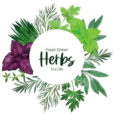 EPS 해외이미지 템플릿 디자인 배너 계절 일러스트 프레임 파슬리 요리 빨간색 라벨 주방 화환 신선 얼룩 원형 신용카드 허브 레이아웃 손그림 바질 로즈메리 쪽파 딜 세이지 벡터 비건 해외202309 해외일러스트 도형 식물 꽃 컬러 채소 금융 파 채식주의자 파일형식