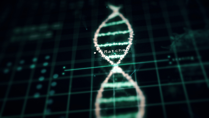 포토 JPG 해외이미지 줄기 과학 백그라운드 신체 일러스트 비즈니스 해부 미래 나선형 건강 사람 사람없음 초록색 파란색 컴퓨터 약 3D 디지털 스크린 자료 인포그래픽 변화 실험실 바이러스 DNA 생명공학 분석 생물학 감염 미생물 염색체 UI 스캐너 유전 인터페이스 전염병 홀로그램 코로나바이러스 해외202309 해외일러스트 식물 교육 컬러 컨셉 무늬 의학 생물 실험 전자제품 질병 디지털합성 파일형식