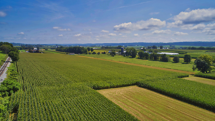 포토 JPG 해외이미지 식물 지구 음식 백그라운드 패턴 밭 농업 자연 안테나 옥수수 풍경 사람없음 야외 초록색 여름 농작물 농장 농경지 노란색 환경 농사 봄 수확 성장 시골 땅 밀 만취 유기농 내추럴 항공촬영 드론 밭일 조감도 수평선 세련 해외202309 해외포토 웰빙 계절 산업 뷰포인트 컬러 무늬 통신 곡류 생태계 술취함 파일형식