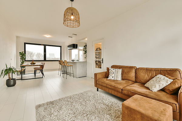 포토 JPG 해외이미지 식물 화분 의자 창문 식탁 사람없음 인테리어 소파 문 카펫 공간 방 책상 해외202309 해외포토 디자인 가구 탁자 파일형식