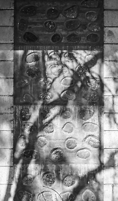 포토 JPG 해외이미지 벽 건축양식 주택 사람없음 건물 판넬 호주 오두막 버리기 시골집 옛날 오지 콘크리트 해외202309 해외포토 건축물 건축 모션 오세아니아 파일형식