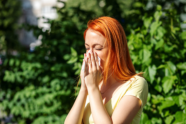 포토 JPG 해외이미지 식물 손 계절 여자 꽃 자연 건강 한명 안전 여름 수건 봄 고통 추위 벚꽃 흰색 열 조직 오염 바이러스 보호 질병 불기 코 예방 감염 꽃가루 빨간머리 알레르기 기침 돌봄 반응 인플루엔자 재채기 전염병 증상 해로움 해외202309 해외포토 1 헤어스타일 감정 컬러 컨셉 의학 모션 사람 신체부위 위생용품 가루 생태계 파일형식