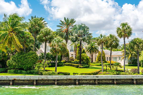 포토 JPG 해외이미지 나무 외관 공원 별 바다 건축양식 창문 휴식 주택 손바닥 사람없음 야외 건물 물 여름 맑음 미국 만 재산 고급 빌라 맨션 운하 커뮤니티 교외 마이애미 전용 진짜 플로리다 해외202309 해외포토 자연요소 식물 건축물 손 계절 공공시설 건축 컨셉 북아메리카 날씨 금융 파일형식