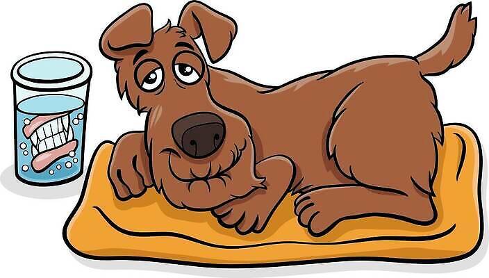 EPS 해외이미지 캐릭터 일러스트 방석 사람없음 반려동물 눕기 갈색 귀여움 개 만화 물컵 틀니 해외일러스트 일러캐릭터 동물 컬러 컨셉 포유류 모션 컵 치아 파일형식 벡터