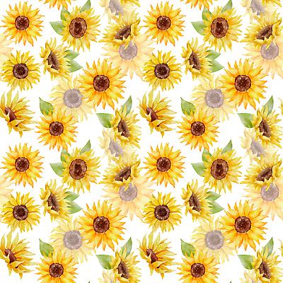 포토 JPG 해외이미지 식물 디자인 계절 꽃 종이 컬러 백그라운드 잎 꽃무늬 패턴 오렌지 자연 벽지 해바라기 미술 사람없음 초록색 컬러풀 뷰티 농장 노란색 유행 정원 페인트 봄 낭만 들꽃 수확 벚꽃 흰색 직물 개화 인쇄 그림 질감 내추럴 현실 해외202309 해외포토 컨셉 무늬 농업 과일 문화예술 생태계 파일형식