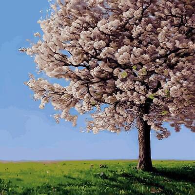 EPS 해외이미지 클립아트 나무 식물 템플릿 디자인 배너 계절 꽃잎 꽃 분홍색 백그라운드 꽃무늬 일러스트 자연 추상 발렌타인데이 그래픽 뷰티 갈색 우주 정원 일본 봄 낭만 덮개 벚꽃 나뭇가지 시골 신용카드 발표 화려 개화 체리 떨어짐 4월 유기농 동쪽 강렬 고립 삼림지대 벡터 해외202309 해외일러스트 웰빙 아시아 컬러 컨셉 무늬 과일 데이이벤트 금융 뚜껑 날짜 숲 방향 생태계 파일형식