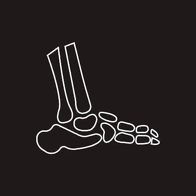 EPS 해외이미지 템플릿 디자인 옷 과학 백그라운드 신발 신체 일러스트 비즈니스 해부 뼈 골격 건강 미술 사람 그래픽 뷰티 약 유행 광선 흰색 우아함 X 편지 수집 심볼 오브젝트 사인 생물학 무릎 발가락 테라피 발목 고립 골절 궤 깨짐 돌봄 양발 정형외과 스타일 벡터 해외202309 해외일러스트 알파벳 교육 컬러 컨셉 의학 모션 발 문화예술 병원 신체부위 파일형식