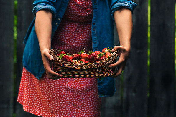 포토 JPG 해외이미지 여자 과일 딸기 한명 들기 상반신 성인 앞모습 바구니 무더기 성인여자한명만 해외202309 해외포토 1 뷰포인트 모션 사람 여자한명만 성인여자만 파일형식