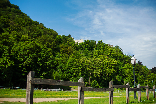 포토 JPG 해외이미지 나무 유럽 벽 여행 백그라운드 건축양식 자연 하늘 산 졸업생 사람없음 야외 건물 초록색 파란색 뷰티 성 중세 역사 재산 숲 버리기 언덕 폐허 타운 크로아티아 강화 랜드마크 옛날 파멸 해외202309 해외포토 식물 건축물 건축 나라 컬러 컨셉 졸업 모션 금융 도시 생태계 파일형식 소멸