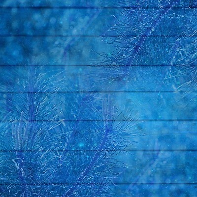 포토 JPG 해외이미지 배너 계절 벽 조각 백그라운드 크리스마스 겨울 패턴 자연 탁자 표면 날씨 바닥 사람없음 목재 장식 파란색 빛 어둠 추위 수확 흰색 시골 아기 신선 소나무 판넬 거친 그리기 널 질감 복고 서리 내추럴 그런지 수목 옛날 폭설 눈내림 해외202309 해외포토 나무 기념일 컬러 가구 무늬 농업 재료 모션 눈_날씨 사람 자연재해 생태계 파일형식