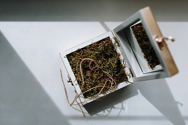 포토 JPG 해외이미지 전통 디자인 커플 결혼 백그라운드 2 관계 결혼식 휴가 함께함 사랑 이벤트 사람없음 장식 상자 금속 장비 낭만 흰색 축하 반지 쌍 황금 우아함 닫기 심볼 순수 오브젝트 약혼 고립 구성 통일 핸드메이드 해외202309 해외포토 감정 컬러 컨셉 장신구 모션 재질 약속 파일형식