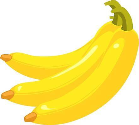 EPS 해외이미지 나무 식물 계절 음식 농업 채소 과일 일러스트 재료 바나나 건강 요리 농장 노란색 쌓기 정원 농사 수확 성장 껍질 신선 달콤 아침식사 만화 다발 먹기 보따리 유기농 날것 흙더미 내추럴 생식 숙성 이국적 해외202309 해외일러스트 웰빙 산업 컬러 모션 식사 흙 맛 파일형식 벡터 더미