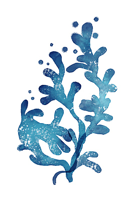 포토 JPG 해외이미지 모양 템플릿 손 디자인 배너 포스터 종이 벽 백그라운드 일러스트 벽지 추상 미술 사람없음 내부 장식 세트 디지털 방 붓 인쇄 그림 질감 심플 엽서 캔버스 기하학 고립 스칸디나비아 아크릴 스타일 미니멀 해외202309 해외일러스트 무늬 재질 문화예술 신체부위 편지 파일형식