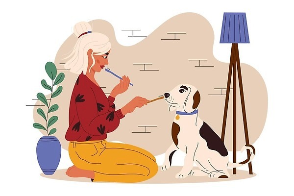 EPS 해외이미지 캐릭터 여자 새끼 일러스트 건강 그래픽 치료 반려동물 장난감 디지털 붓 입 수비 개 강아지 치아 칫솔 질병 심볼 사인 예방 사냥개 치약 턱 수의사 유지 송곳니 고립 돌봄 명패 위생관리 잇몸 소유 해외202309 해외일러스트 일러캐릭터 동물 신체 포유류 의학 모션 관리 사람 신체부위 위생용품 의사 소화기관 파일형식 벡터