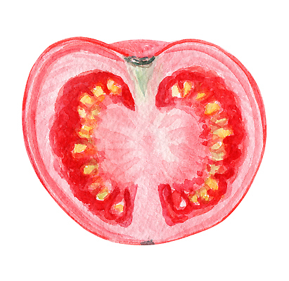 포토 JPG 해외이미지 식물 음식 컬러 조각 백그라운드 농업 다이어트 토마토 채소 과일 일러스트 재료 부분 자연 건강 요리 미술 사람없음 빨간색 주방 정원 식사 샐러드 흰색 신선 원형 시장 맛 상품 자르기 먹기 오브젝트 그림 유기농 날것 손그림 내추럴 고립 숙성 채식주의자 비건 맛있는 해외202309 해외일러스트 도형 웰빙 산업 컨셉 모션 문화예술 생태계 채식 파일형식