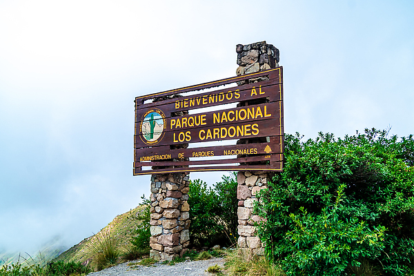포토 JPG 해외이미지 식물 공원 문화 여행 자연 하늘 산 선인장 건조 사람없음 야외 파란색 세계 뷰티 노란색 계곡 미국 사막 시골 황무지 남아메리카 역사 재산 고도 남쪽 아르헨티나 내추럴 로스앤젤레스 전국 해외202309 해외포토 공공시설 컬러 북아메리카 아메리카 금융 방향 생태계 파일형식