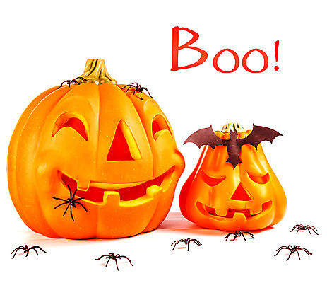 포토 JPG 해외이미지 디자인 계절 음식 백그라운드 채소 호박 미소 웃음 사람없음 장식 빛 노란색 파티 할로윈 가을 흰색 등불 축하 무서움 오브젝트 거미 박쥐 잭 잭오랜턴 호러 오싹 해외202004 해외포토 감정 컬러 곤충 컨셉 포유류 조명 표정 이벤트 공포 파일형식