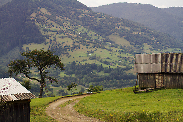 포토 JPG 해외이미지 나무 구름 유럽 여행 백그라운드 밭 자연 휴가 산 주택 파노라마 풍경 초원 사람없음 야외 목재 초록색 여름 햇빛 환경 봄 소나무 오픈 숲 오두막 언덕 장면 전나무 산악지대 생태학 우크라이나 절정 가문비나무 해외202004 해외포토 자연요소 식물 계절 교육 나라 컬러 농업 재료 촬영기법 건물 태양 생태계 파일형식
