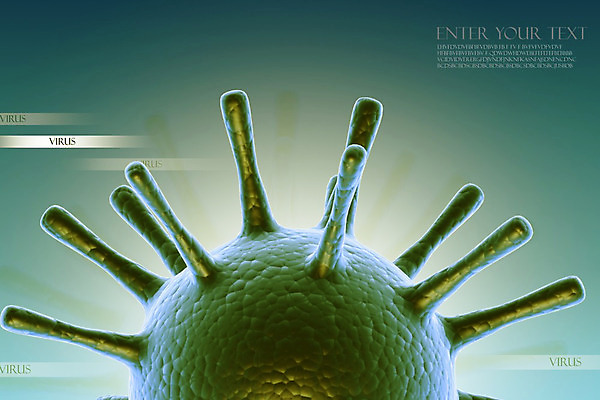 포토 JPG 해외이미지 과학 일러스트 표면 세포 건강 병원 실험 사람 사람없음 약 3D 펼침 고통 흐름 죽음 혈액 오르간 바이러스 닫기 보호 질병 로봇 유기농 생물학 만들기 감염 청록색 미생물 암 테라피 박테리아 동맥 정맥 백신 유전 해외202004 해외포토 웰빙 교육 감정 컬러 컨셉 의학 모션 생물 뷰티 건반악기 디지털합성 혈관 파일형식