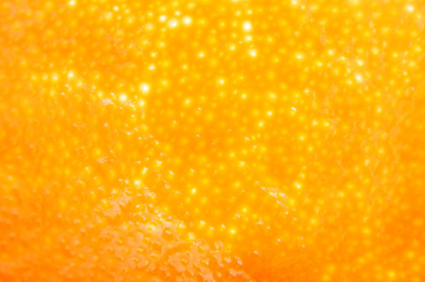 포토 JPG 해외이미지 음식 백그라운드 패턴 오렌지 과일 벽지 표면 추상 건강 사람없음 장식 빨간색 물 노란색 신선 묘사 질감 해외202004 해외포토 자연요소 컬러 무늬 파일형식